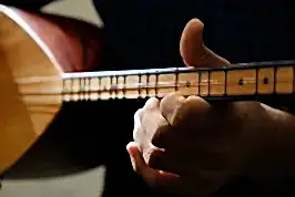 Görsel 2